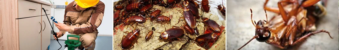 Equipe da Keiko realizando o serviço de dedetização profissional com segurança